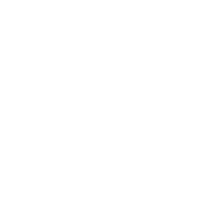 domestic shipping only logo