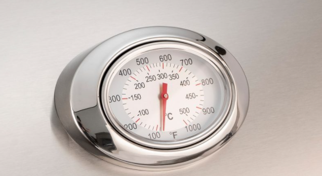 Fire Magic 30-Inch Aurora A660i Built-In Gas Grills