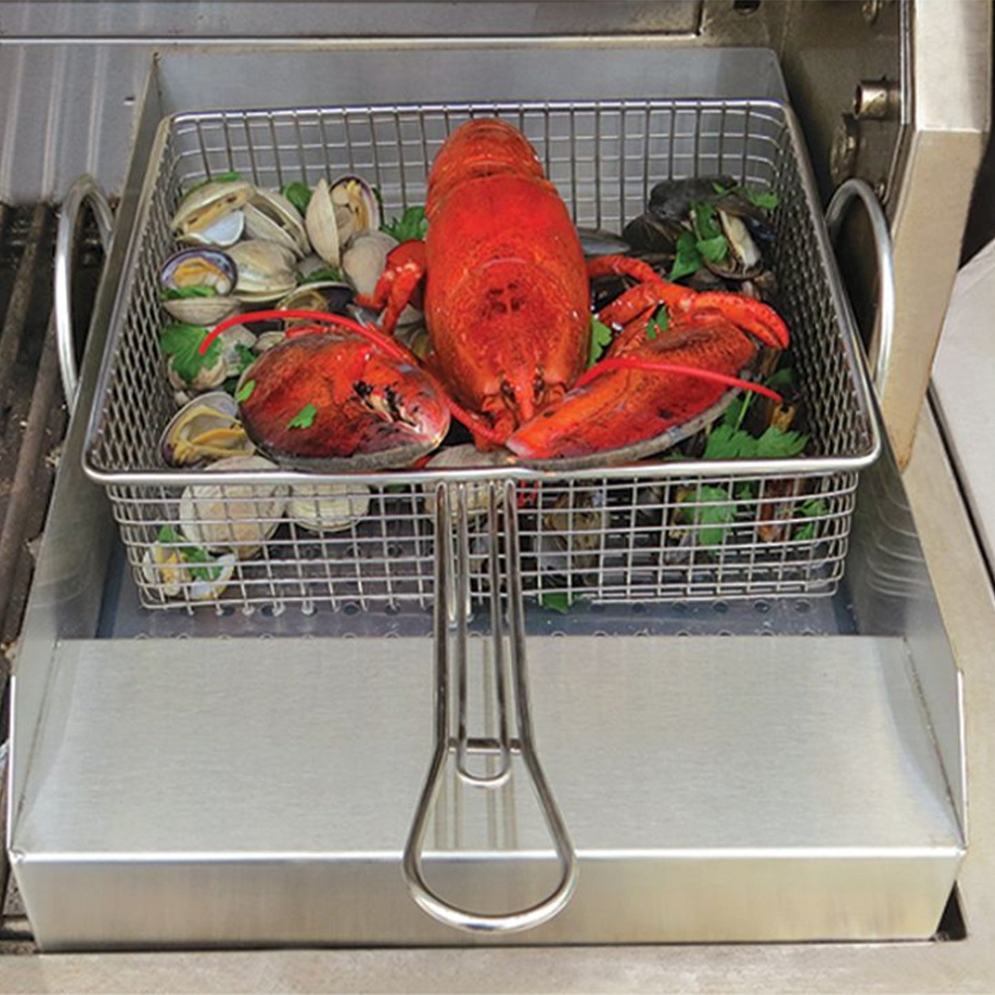 Alfresco Grill Mounted Steamer/Fryer
