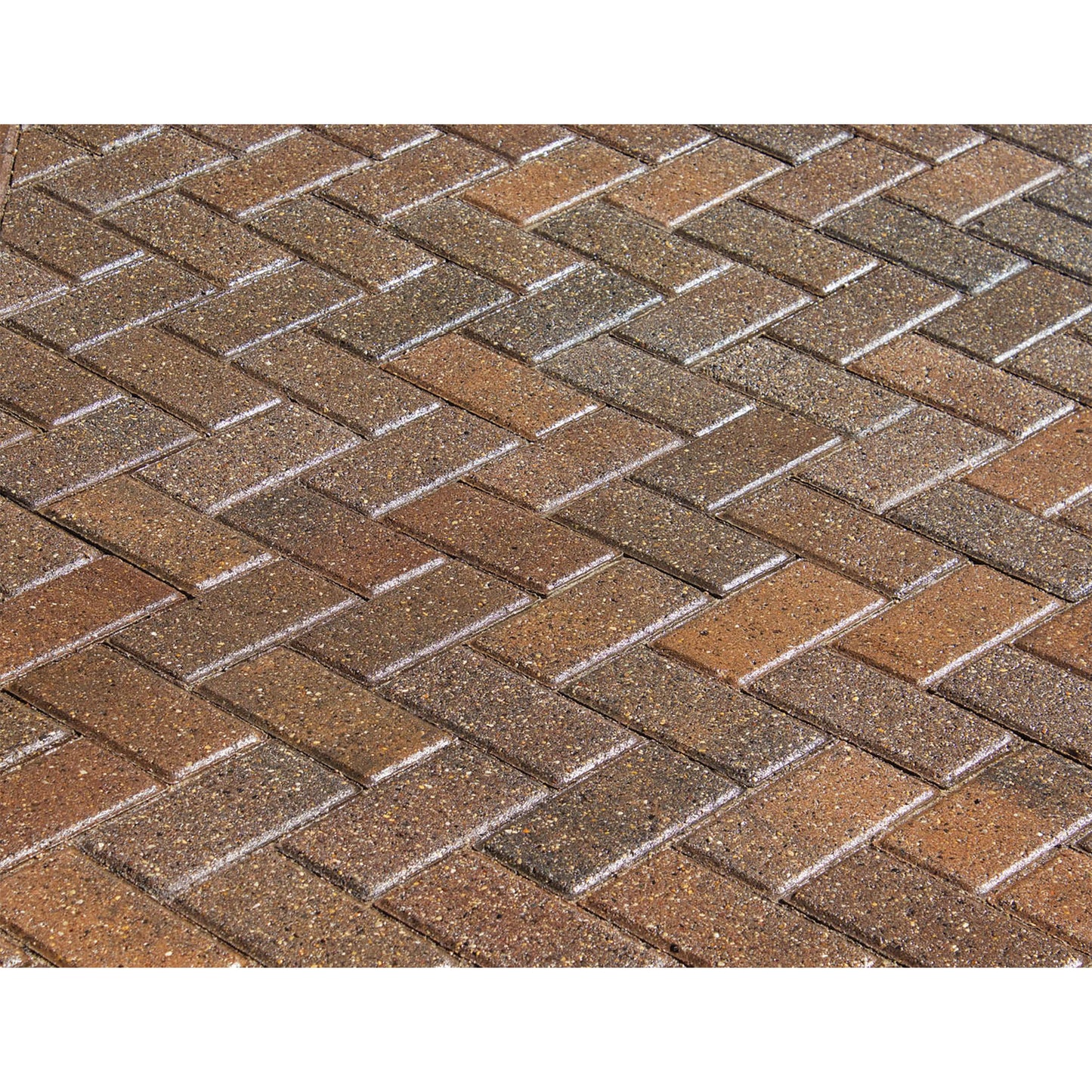SRW Products Premium Seal™ DG Dual Guard VOC
