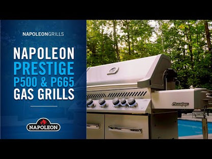 Napoleon Prestige® 500 Gas Grill (Stainless Steel)