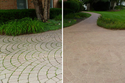 Surebond SB-1300 Joint Stabilizing Sealer (w/ AntiFungal)